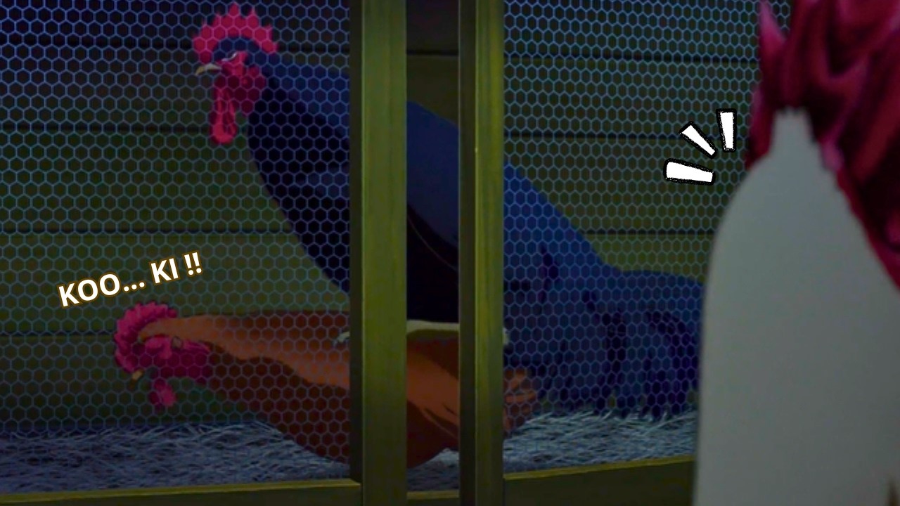 A KEIJI le QUITARON su LUGAR ?? 😲 | Doblaje Latino 🇲🇽