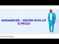 Harmonize - Never Give Up (Videos Lyrics)