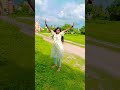 Chhutti Nahin Dil Ki Baten Shortsviral Dance Tending Shortvideo Bollywood Song Reels