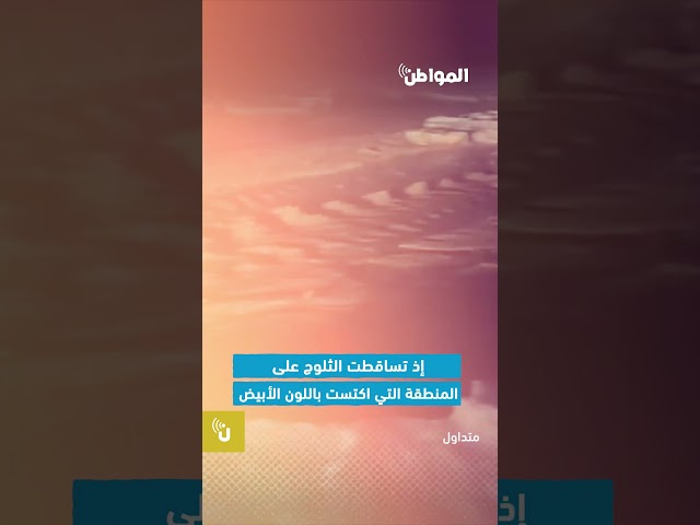 بردية كثيفة في النعيرية