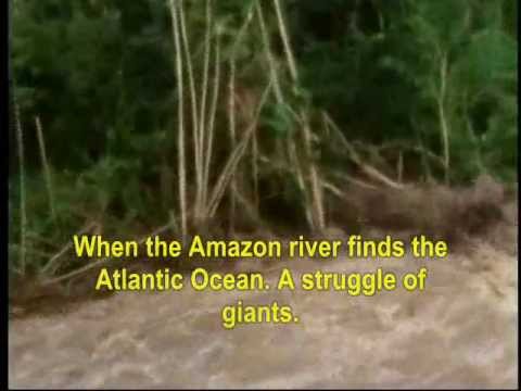 Pororoca! Quando o rio encontra o mar - The Pororoca: Amazon River x Atlantic Ocean.