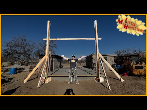 🏈 Beiträge für den Shop-Build installieren! 🚩 | Weekly Peek Ep346