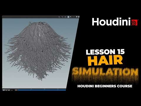 Create Hair Animations in Houdini Video Lecture - Complete Houdini FX ...