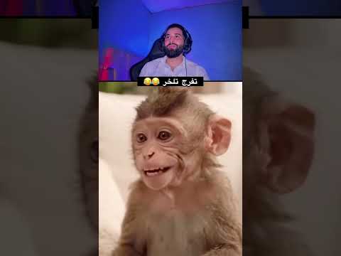 24 أكتوبر 2026