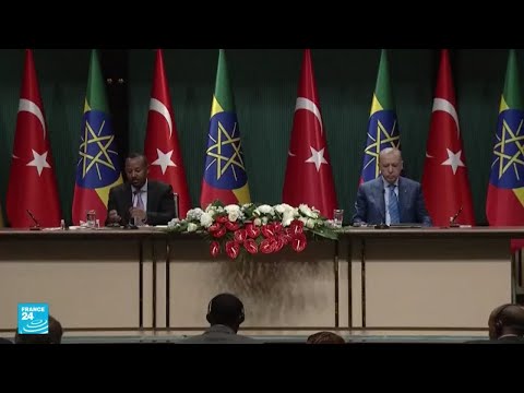 ملفات أمنية واقتصادية على طاولة أردوغان وأبيي أحمد في أنقرة