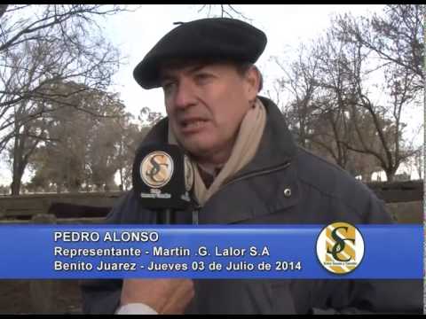 Martin G. Lalor S.A. - Pedro alonso - Benito Juarez - 03/07/2014