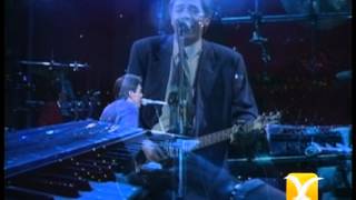 Los Temerarios, Mi Corazón Te Quiere, Festival de Viña 1993