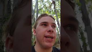 BILE  - Sex Reflex album/CD Review, Ranking, and Discussion!!! 🔥🤘😈💙💯💥💛🛠⚙️ #industrialmetal