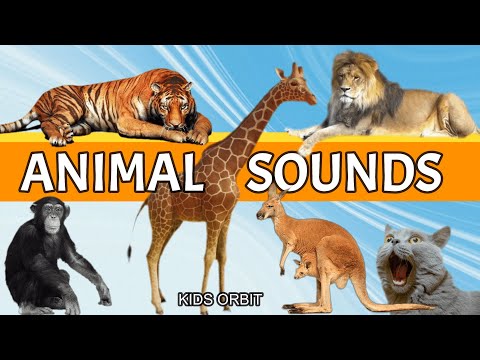 Animal Sounds and Names | Learn Animal Names | Animal Sounds Compilation
