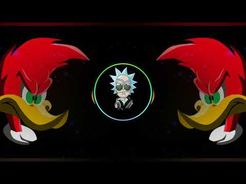 Pica-Pau video