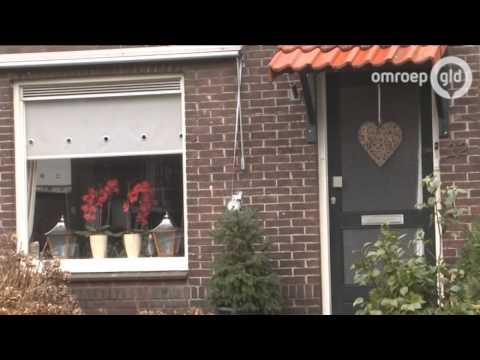 deBUZZ 19 februari 2013