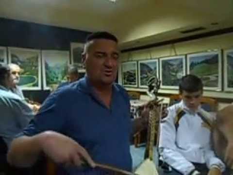 andjelic miladin guslar