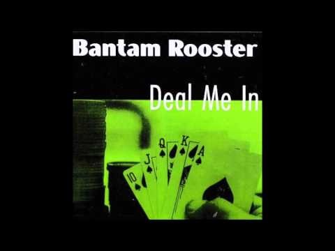 Bantam Rooster - Miss Luxury