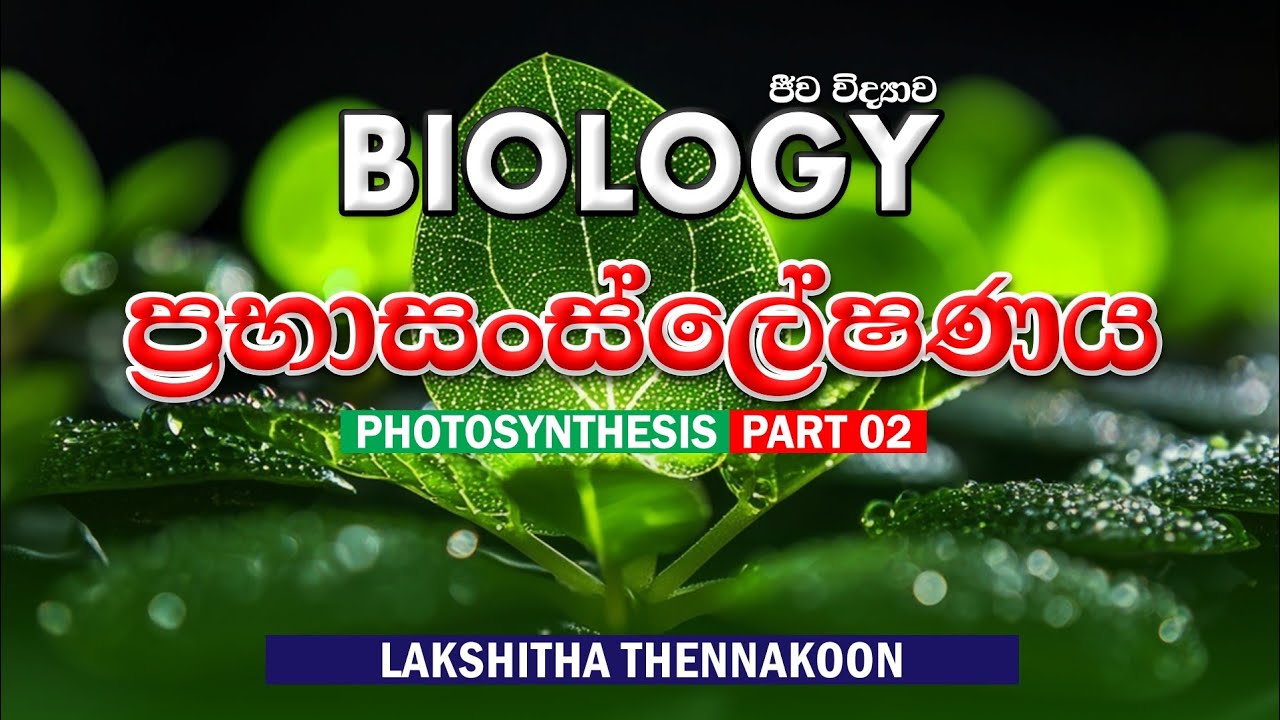 ප්‍රභාසංස්ලේෂණය | PHOTOSYNTHESIS | PART 2 | A/L | #lakshithathennakoon  #photosynthesis