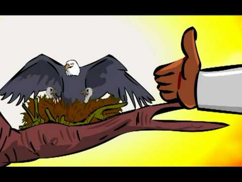 Nii Okai - Meeba lala (Holy Writings) animation.VOB