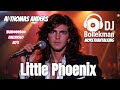 Little Phoenix Bollekman Modern Talking Style Italodisco Eurodisco Europop 80s Synthpop