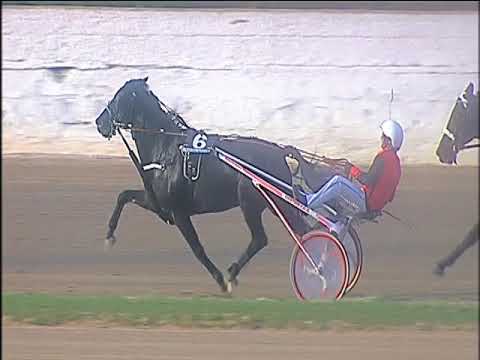 Trotto 25/10/2019 - 4ª corsa