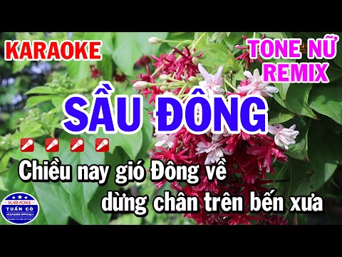 Karaoke Sầu Đông Remix Tone Nữ Cm Nhạc Sống