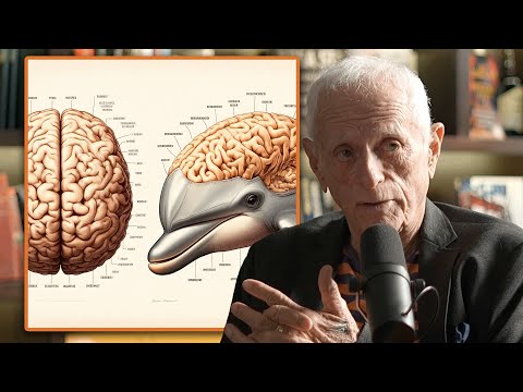 The Dolphin Expert: Dolphins are More Intelligent Than Humans! | Ric O'Barry