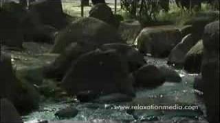 Relaxation Media-Find Your Mind