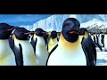 Happy Feet Wives Ho