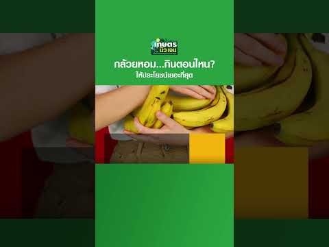 \กล้วยหอม\ กินตอนไหน? ให้ประโยชน์เยอะที่สุด | เกษตรนิวเจน