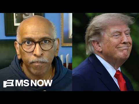 'Shut up and listen': Michael Steele schools new 'burn it all down' Dems fighting Trump's GOP