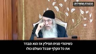 הגה״ח הרב ווכטר שליט״א | מה אני פועל על-ידי קיום מצווה? (הרב אברהם מנחם מענדל וכטר) - התמונה מוצגת ישירות מתוך אתר האינטרנט יוטיוב. זכויות היוצרים בתמונה שייכות ליוצרה. קישור קרדיט למקור התוכן נמצא בתוך דף הסרטון