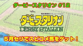 【ダービースタリオンSWITCH実況】#12　５月セリでスピコメ馬をゲット！