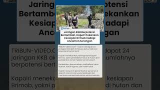 Jaringan KKB Papua Berpotensi Makin Bertambah, Kapolri Tekankan Kesiapan Ganda Brimob Hadapi Ancaman