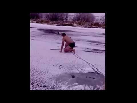 Спасение пса из ледяной реки
