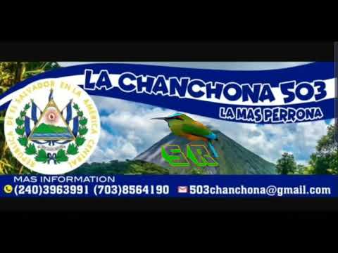 Chanchona 503 - Cumbia Campirana Mix (C)
