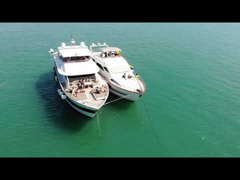 Lalamove Summer Splash 2019