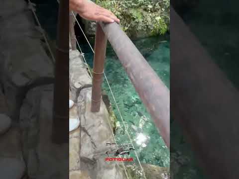 Uma das maravilhas do nosso RN #purezarn #natalrn #agua #águacristalina #natureza