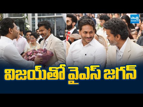 YS Jagan with Thalapathy Vijay | YS Jagan Attends Marriage At Chennai  | @SakshiTVLIVE