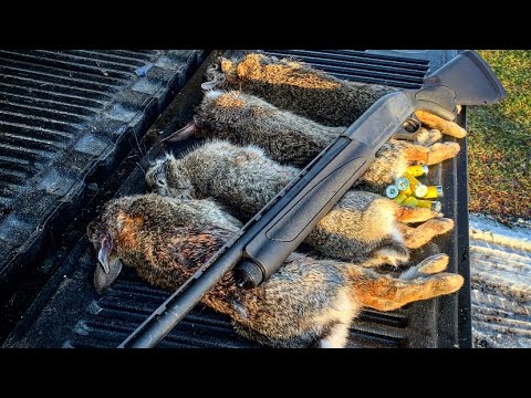 Rabbit Hunting 2021( SO MUCH ACTION!!!)