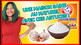 LES CAFARDS ET INSECTES MEURENT EN MASSE LORSQUE VOUS APPLIQUEZ CETTE RECETTE CHEZ VOUS!