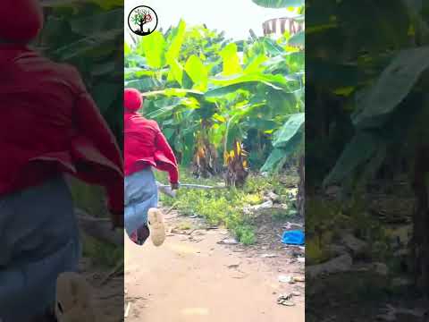 #côtedivoire🇨🇮 #viral #comedia #hakimehp #😂😂😂 @HP Vision 🌍🌎🌏✨ @michou.capricieus21Of #Shorts