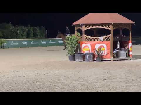 Caipirinha 24 05 MâconChaintré/FRA Barrierenspringen 2m