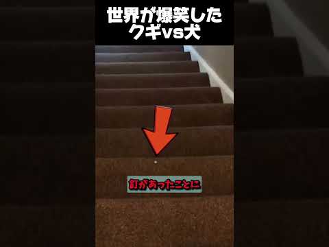 音源をクリックしないで...‼️⚠️