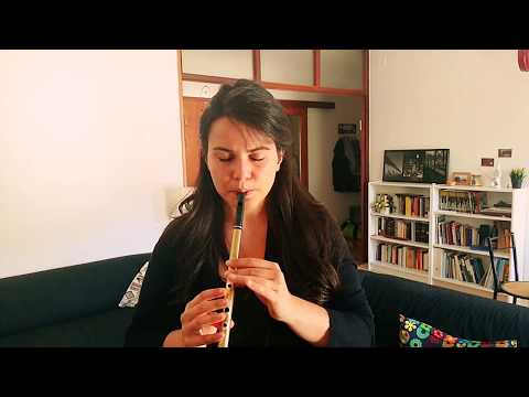 King of the Fairies - Tin whistle