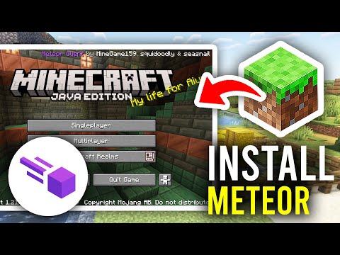 Meteor Client