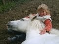 3 year old girl riding a pony 