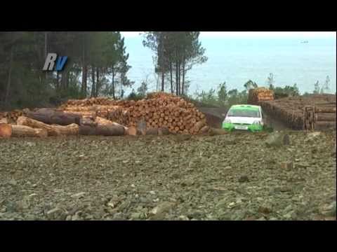 2011 İstanbul Ralli Kupası 3. Ayak / Burcu Burkut Erenkul - Fatih Yalçınkaya / Ford Fiesta ST