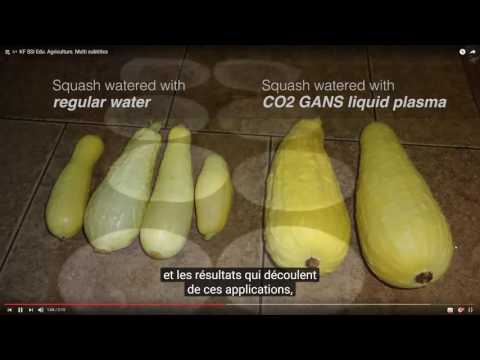 2016 11 17 PM Public Teaching in French - Enseignements publics en français