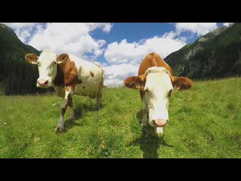 Biketour von Krimml ins Achental