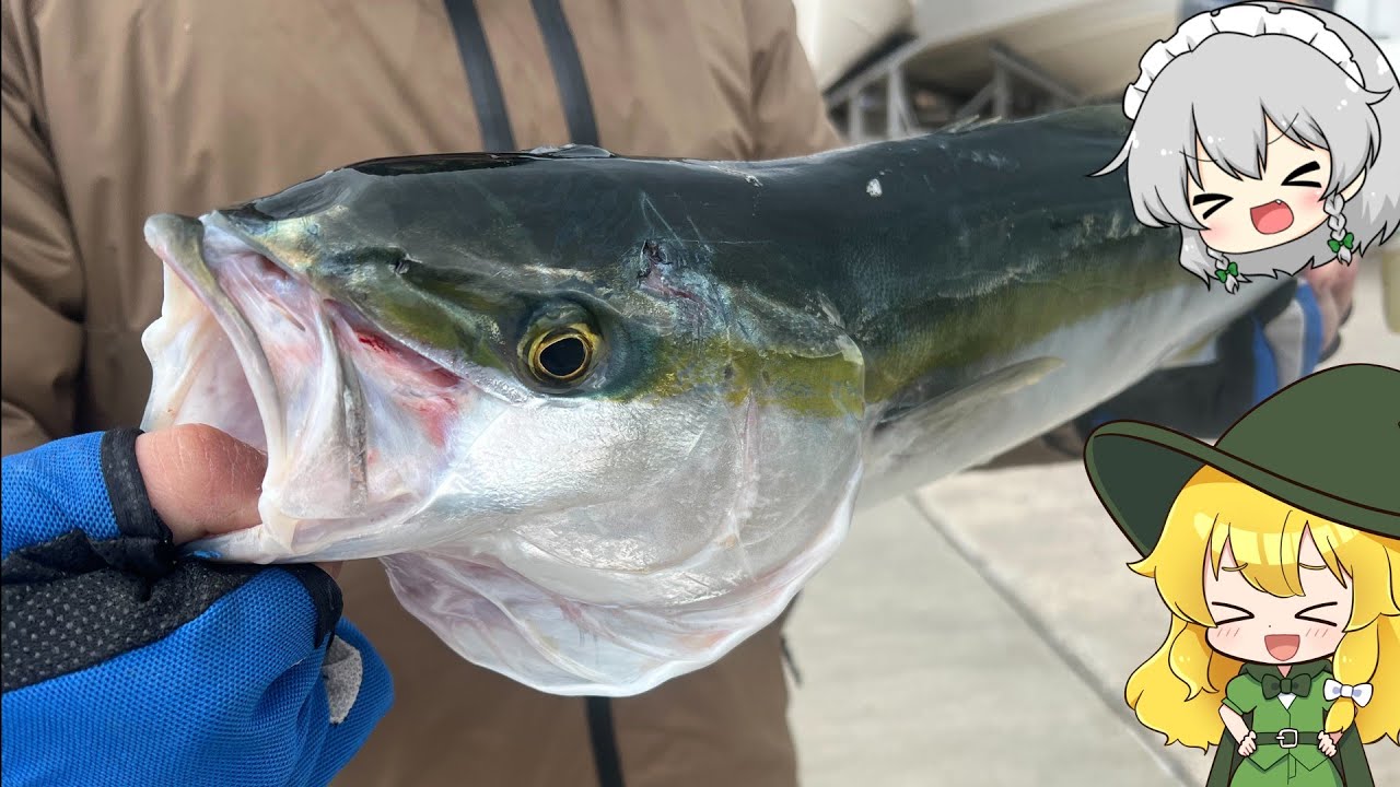 【ゆっくり実況】釣り初心者に大物釣らせてみた【ゆっくり料理】【ゆっくり解説】