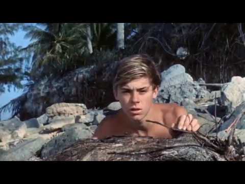 Flipper's New Adventure (1964) Movie Trailer - Luke Halpin, Pamela Franklin & Helen Cherry