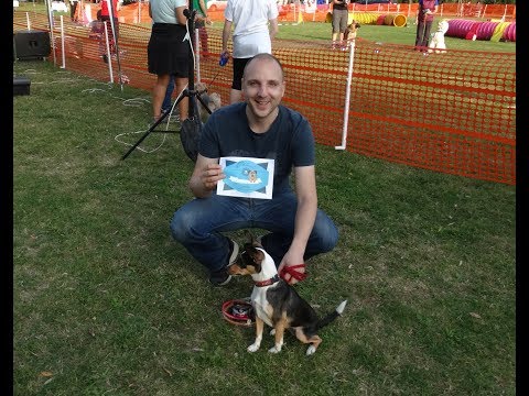 Füge második agility versenye (BIBS for You/Rex Állatsziget - 2017.10.14.)