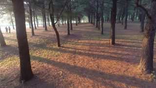 preview picture of video 'XairCraft x650 V8 quadcopter Gopro footage at Jacobson Park'
